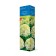 Perminent hydrangea (Northern Garden series) "Phantom" 1 pc, tube, spring 2025