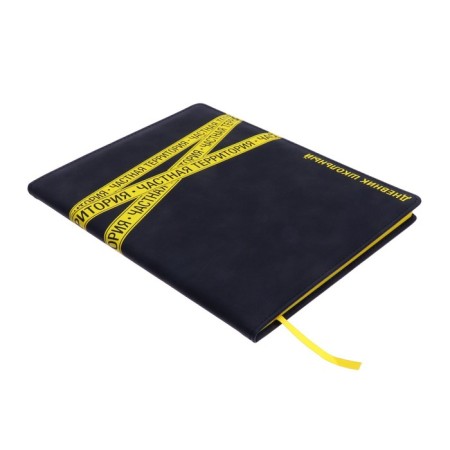 School diary for grades 1-11 Private Territory, hard cover with artificial leather foam, luminescent printing, 48 sheets, an offset block 80g/m2, universal cheat sheet-1