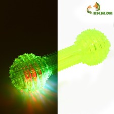 The toy luminous for dogs 