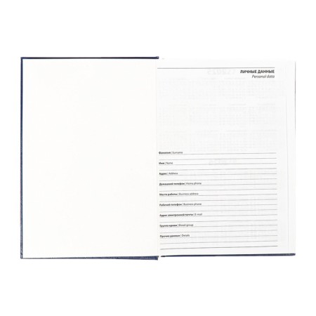 Dated diary of 2025, A5, 168 sheets, boumvinyl, blue-4