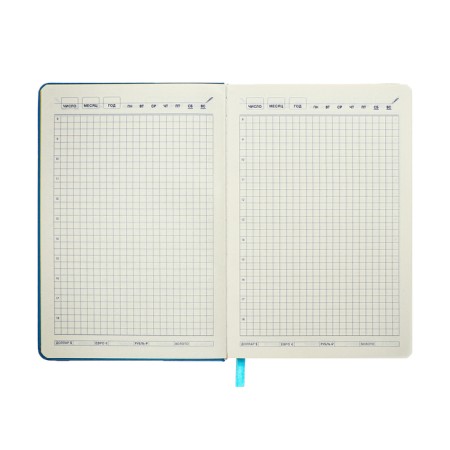 Leduced Diary A5, 140l, Cage, leatherette, elastic band, yellow cut, blue-11