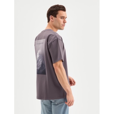 Menku Minaku T-shirt: OWN OPION, Gray color, rr 46-48-3