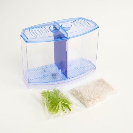 Two -sectional aquarium, with soil and 2 plants-6