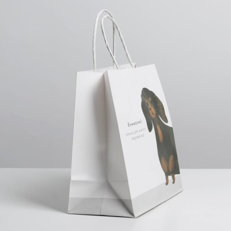 Gift package, packaging, “Pies”, 22 x 22 x 11 cm-2