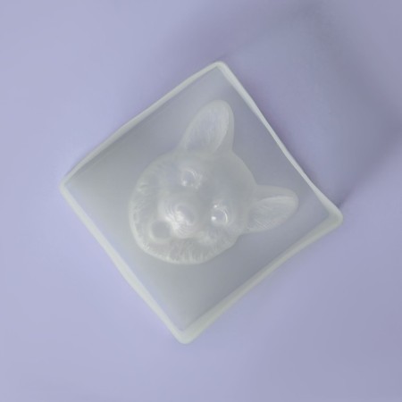 Mold "Muzzle", silicone, 8 × 8 × 2.3 cm, white color-4