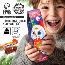 A set of chocolate sweets in the figure box 