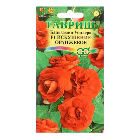 Balzamin flowers "Waller's Temptation Orange" f1, o, 4 pcs.-2