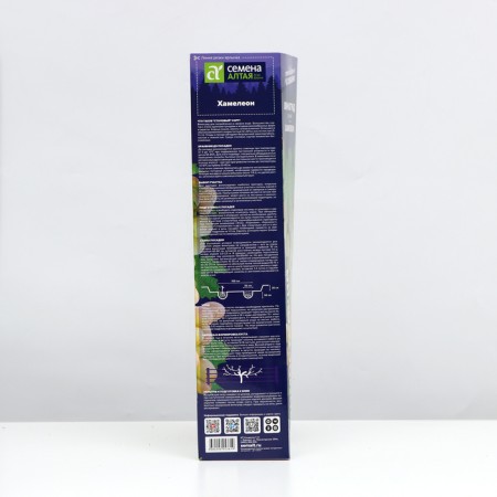 Grapes chameleon, spring 2024, 1 pc.-1