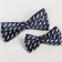 Set of tie-butter-tie "Mr." for boys, species mix