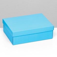 Folding box 