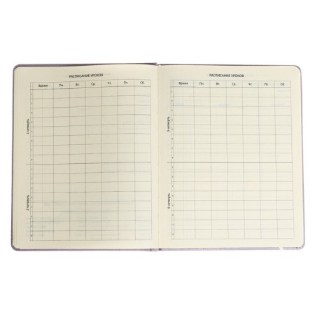 Universal diary for grade 1-11 Bird, hard cover, artificial leather, foam rubber, foil embossing, liesse, 80 g/m2-4