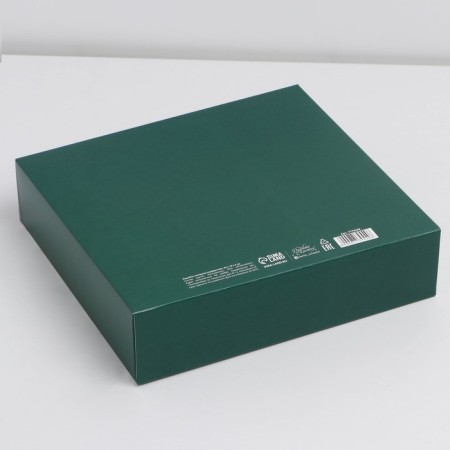 Happy New Year folding box, embossing, green, 20 x 18 x 5 cm, new year-5
