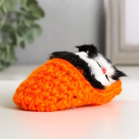 Fluffy cat in a slipper, mix-3