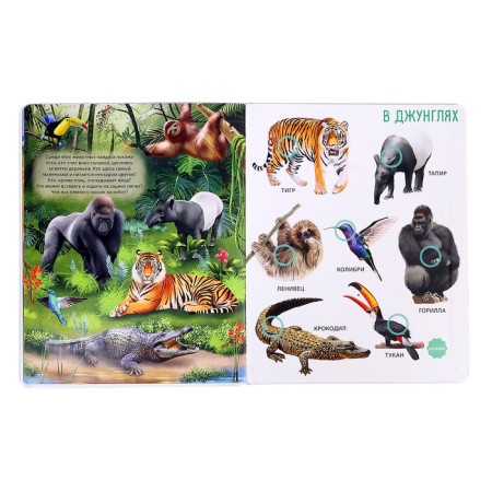 Musical book "Animals", 14 p., 50 sounds-2