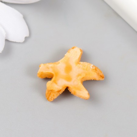 Figure for Florarium Polystone "Sea Star" mix 2.5x2.5x0.8 cm-3