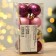 Christmas tree balls New Year, for the New Year, plastic, d = 3 cm, 16 pcs., Wine, pink and gold color