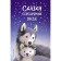 Tales of silver stars. Holly webb and others.