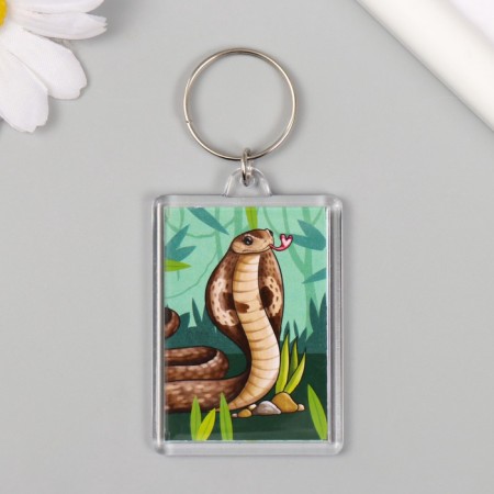 Acrylic key "Cobra" 3.5x5 cm-1