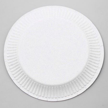 Disposable plate paper "insults", set of 6 pcs, species mix-6