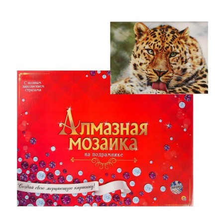 Diamond mosaic is brilliant, 30 × 40 cm, with a subframe, with full.