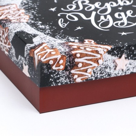 Box the team cover, "Mandarins", 21 x 15 x 5.7 cm-8