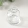 Diffuser for essential oils "bottle" 50 ml transparent 4.8x4.8x7 cm
