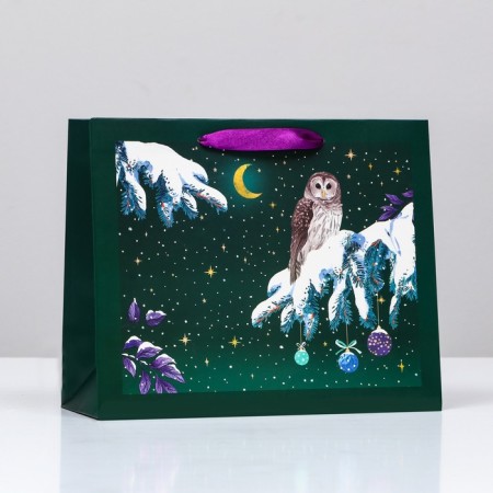 Gift package "Owl in the night", 32 x 26 x 12 cm