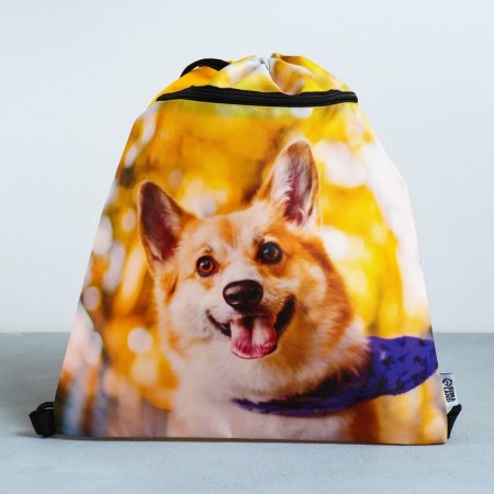 Back for shoes "Funny Corgi" 2 sections, 30 x 40 cm-2