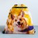 Back for shoes "Funny Corgi" 2 sections, 30 x 40 cm