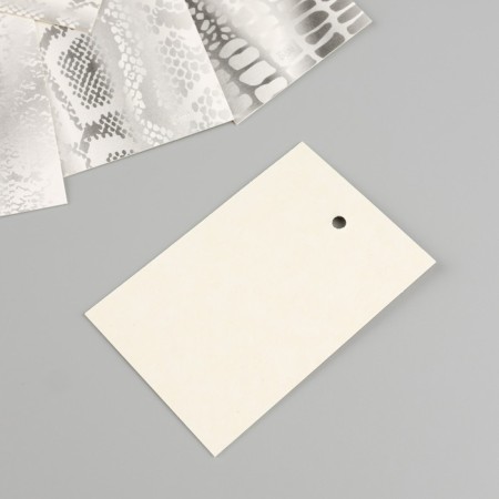 Cardboard "snake texture", silver, set of 10 pcs (5 types) 4x6 cm-3