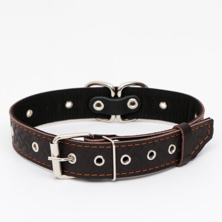 Collar leather reinforced with a kapron with a half-ring, 62 x 3.5 cm, Osh 33-60 cm, brown-1