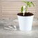 Garden signs for marking, 12 cm, set 20 pcs., Plastic, white, Greengo