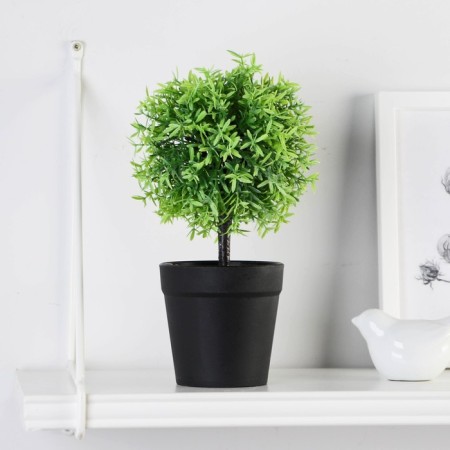 Bonsai in the pot "Olive European" 8.5x23 cm