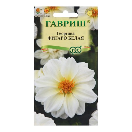Georgin seeds "Figaro", white 7 pcs.