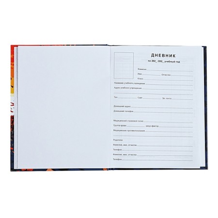Universal Diary 1-11 grade Motobiker, 40 sheets, solid cover, glossy lamination, offset block-3