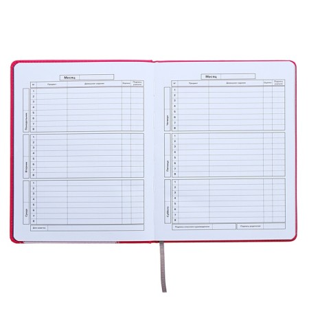 Universal Diary Grade 1-11, 48 sheets "Hare", a solid cover of artificial leather, silkography, OFSET block-10