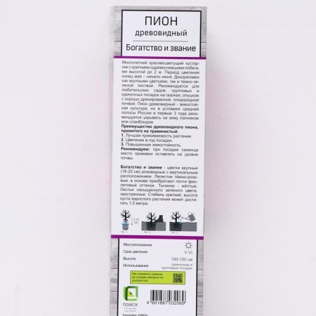 Pion tree pion (vaccinated on grassy) "wealth and title", 1 pc, tube, spring 2025-1