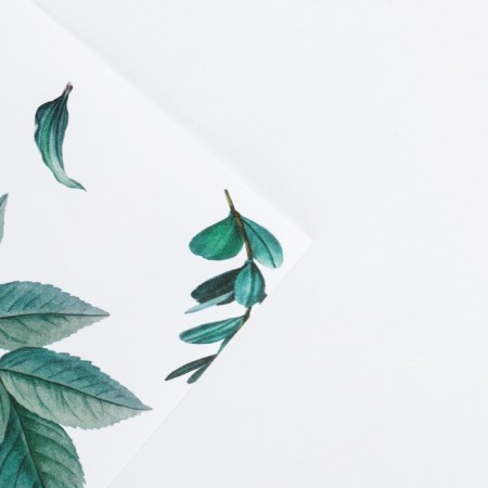 Paper packaging glossy "leaflets", 70 x 100 cm-2