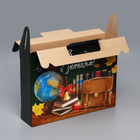 Gift folding box, packaging, “forward to knowledge”, 33.7 x 25.7 x 7.9 cm-2
