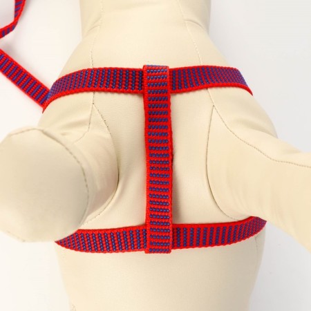 Acunition set is embossed, leash 120 x 1.5 cm, OG 36-49 cm, red-blue-4