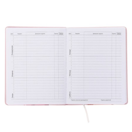 Universal grade 1-11 diary "Elegant I wear shortcomings", solid cover, artificial leather, lies, block 80 g/m2-4