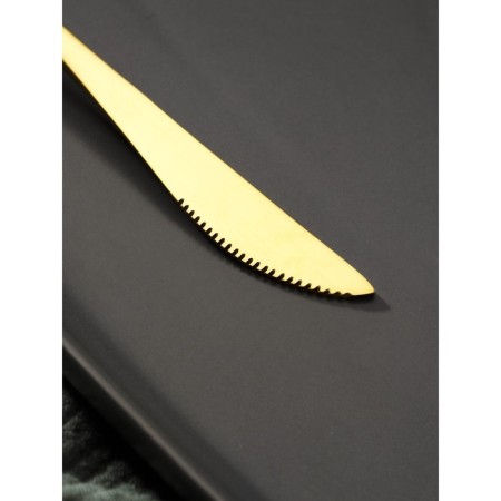 Stainless steel knife Magistro "folk", length 22 cm, gold color, silver handle-3
