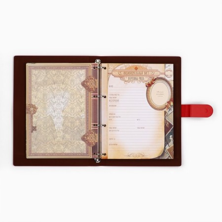 Родословная книга «Книга нашей семьи», 65 листов, 32 х 23 см.-8