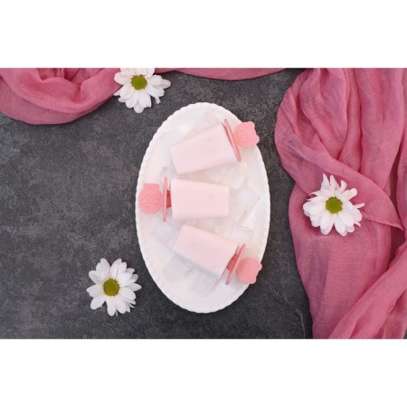 Form for ice cream "Nega", 6 cells, color mix-15