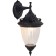 Sadovo-park lamp Feron PL581, IP44, E27, 60 W, 180x210x400 mm, black color black