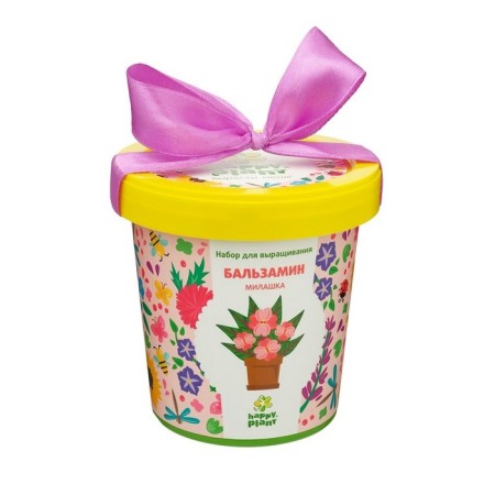 Set for creativity "Pot" "Balzamin. Cutie"