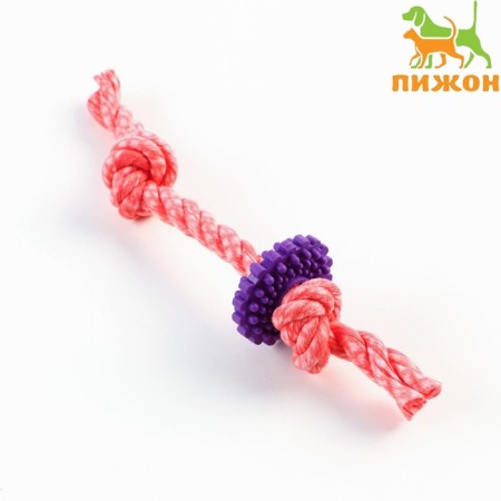 Chewing toy "gear on a rope", up to 20 cm, red