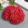 Stamens for flowers "droplets of red bubbled" 4x7 mm set 700 pcs length 6.5 cm