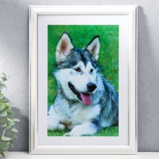 Фоторамка формат А4 21х30 см 281S белая с серебром  (пластиковый экран)