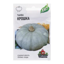 Seeds of Pumpkin 